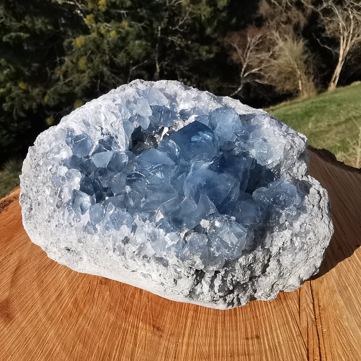 Coelestin Druse 2.8kg