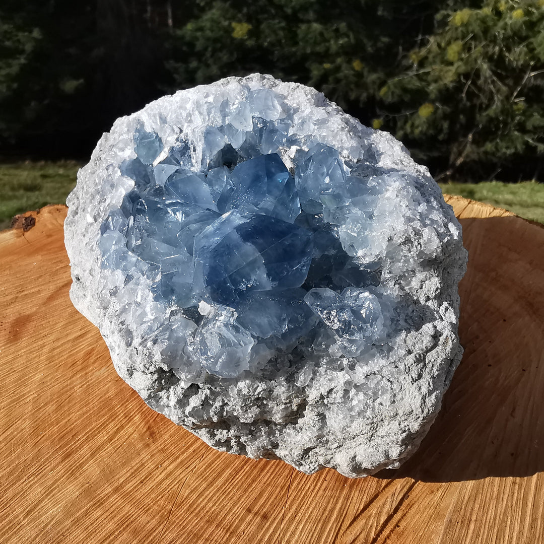 Coelestin Druse 2.8kg