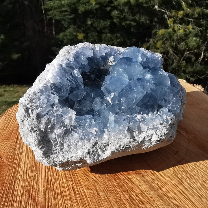 Coelestin Druse 2.8kg