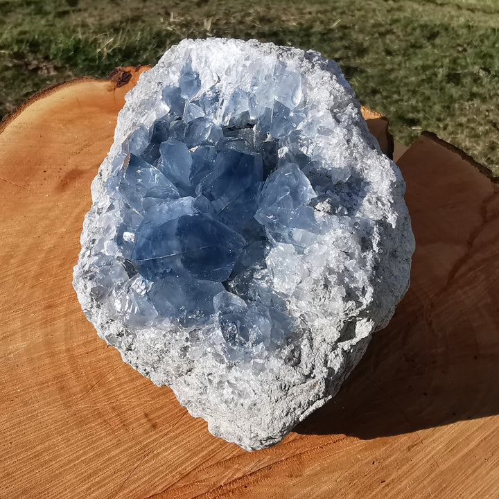 Coelestin Druse 2.8kg