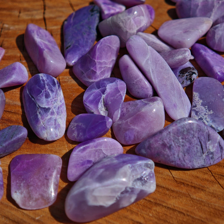 Sugilith hell super Qualität kleine Trommelsteine 20g