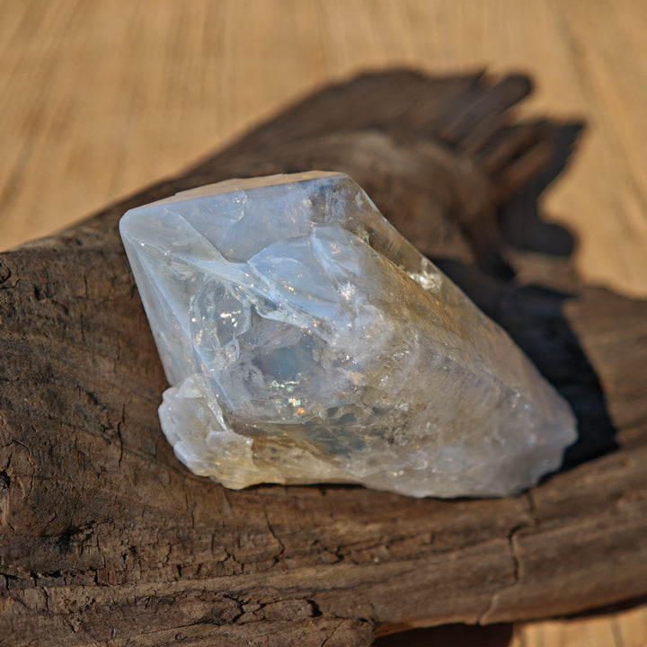 Citrin Spitzen Roh zur individuellen Auswahl