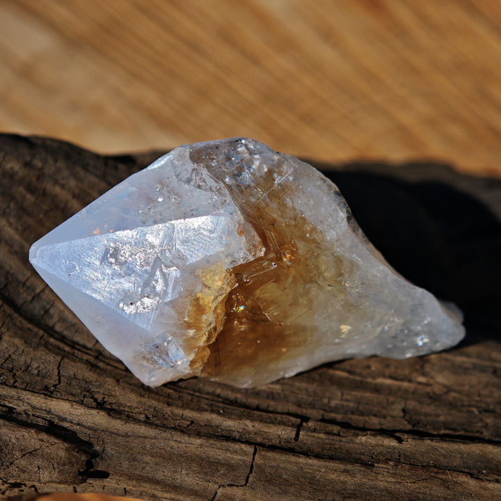 Citrin Spitzen Roh zur individuellen Auswahl