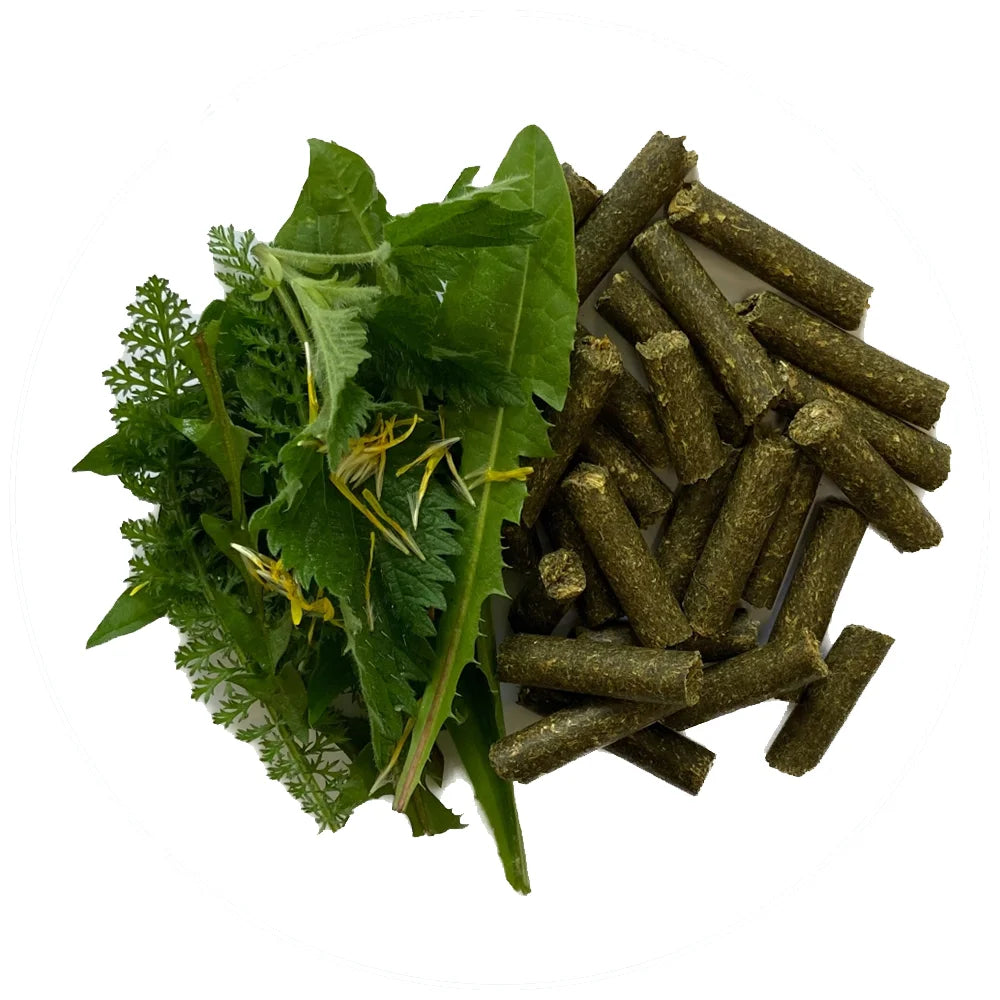 Wildkräuterli - Getreidefreie Belohnungspellets Kräuter Pur