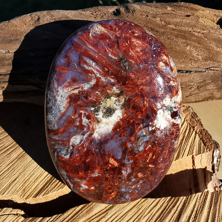 Pietersit Handschmeichler XL 7x5cm (3)