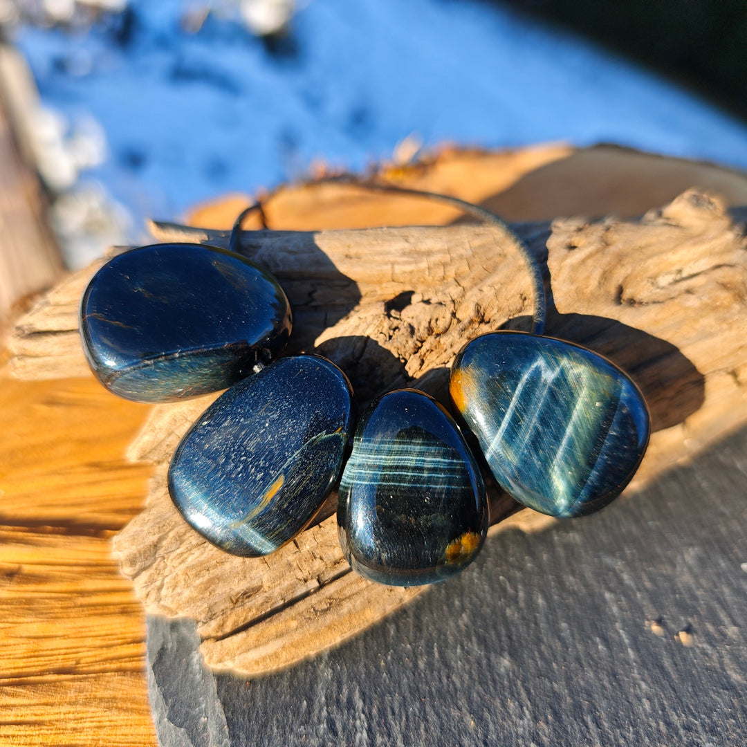 Falkenaugen & Tigeraugen - Weitblick & Mut