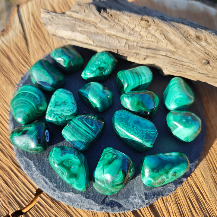 Malachit Trommelsteine (Neubeginn & Wachstum) Extraqualität 2-3cm