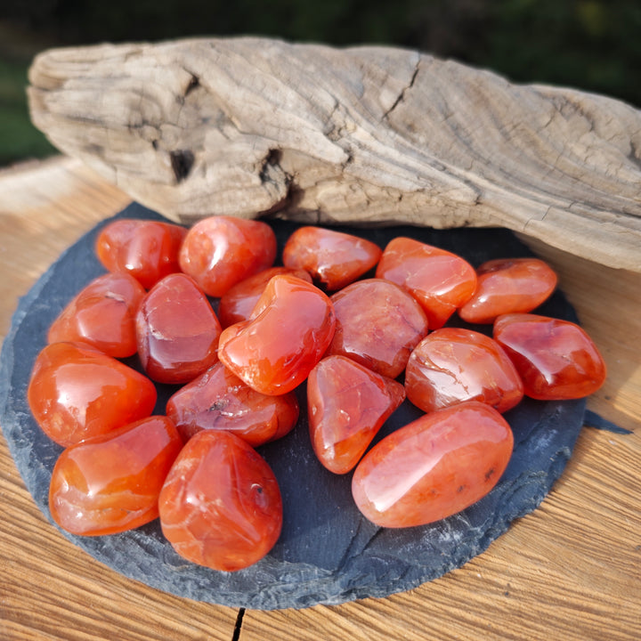 Karneol Trommelsteine (Tatkraft) 2-3cm